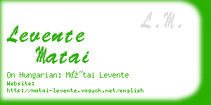 levente matai business card